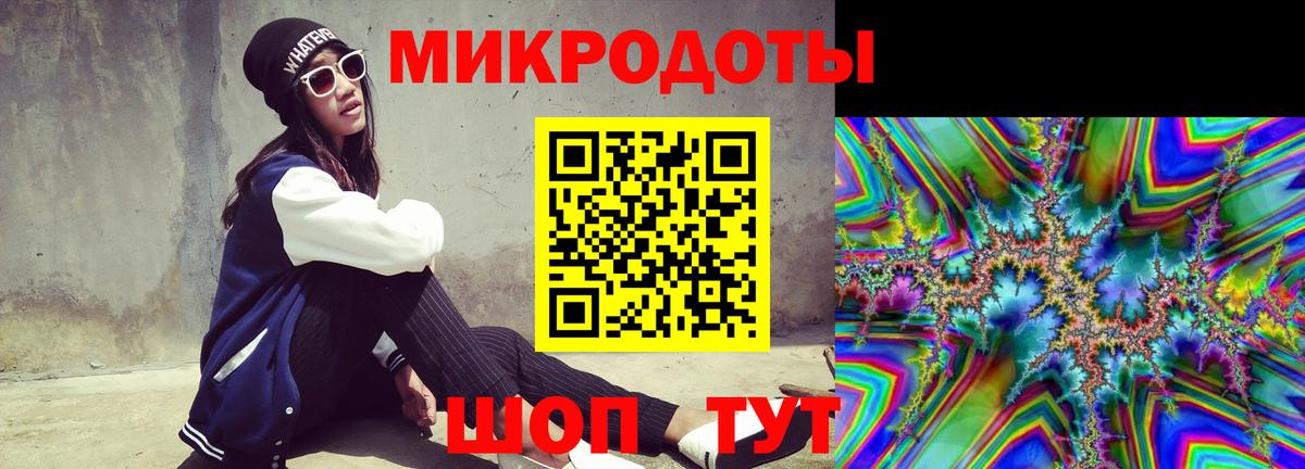 Псилоцибиновые грибы Psilocybine cubensis Новороссийск