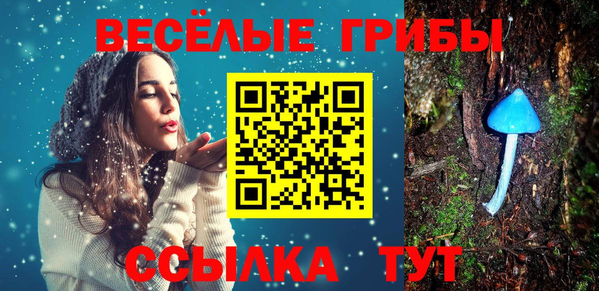 Новороссийск  Псилоцибиновые грибы мицелий  Вход с VPN 